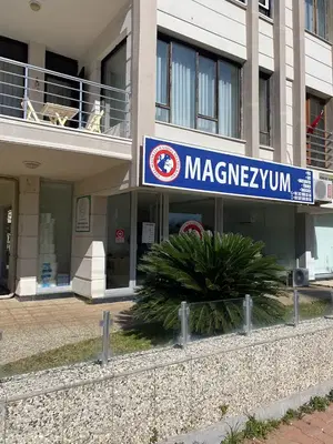 Magnezyum Özel Öğretim Kursu