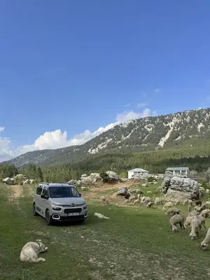 Maha yaylası