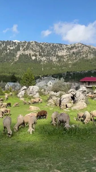 Maha yaylası - Photo 2