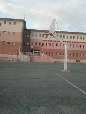 Mahmut Esat Anadolu Lisesi