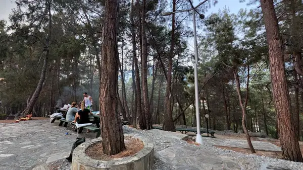 Mahmutlar hub