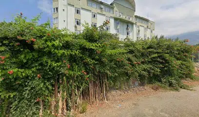 Mahmutlar Müftülüğü - Photo 1