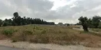 Mahperi Organizasyon - Photo 10