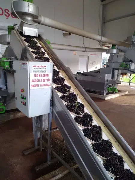 Makasci Özcan Zeytinyagi Fabrikasi - Photo 6