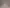 Mamuriye Cami fotoğrafı