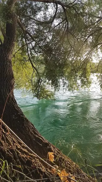 Manavgat Balık Yeme yeri - Photo 3