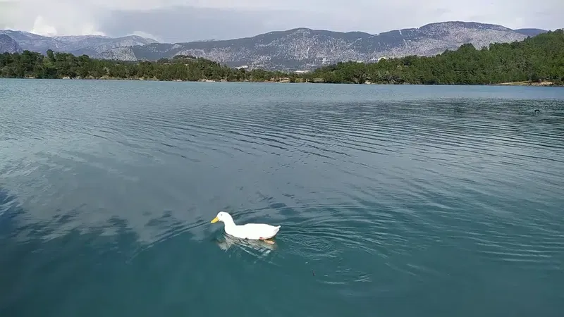 Manavgat Baraji - Photo 8