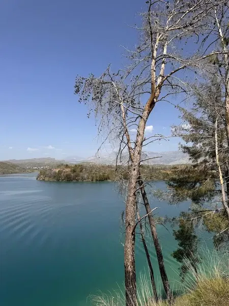 Manavgat Baraji - Photo 10