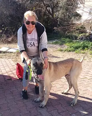 Manavgat Belediyesi Hayvan Barınağı