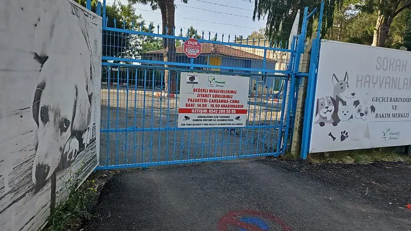 Manavgat Belediyesi Hayvan Barınağı - Photo 2
