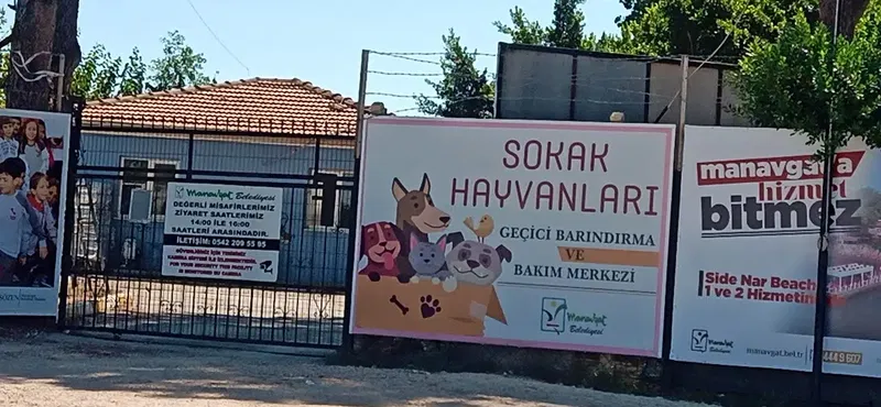 Manavgat Belediyesi Hayvan Barınağı - Photo 4
