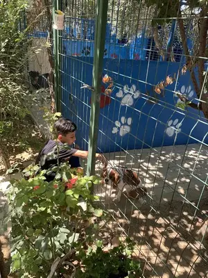Manavgat Köpek Oteli