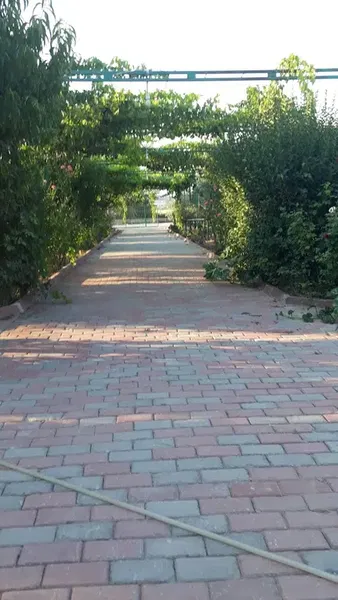 Manavgat Köpek Oteli - Photo 4