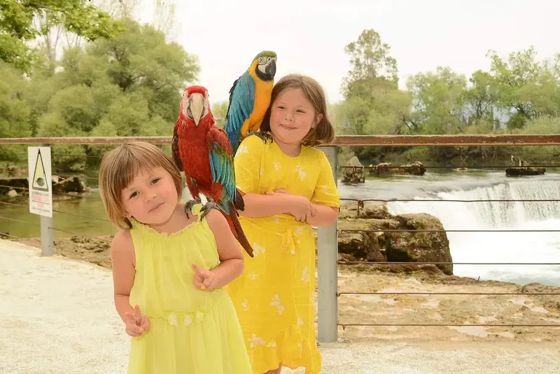 Manavgat Mesleki Eğitim Merkezi - Photo 2
