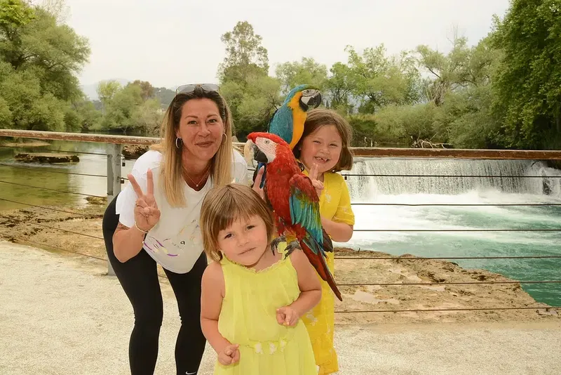 Manavgat Mesleki Eğitim Merkezi - Photo 6