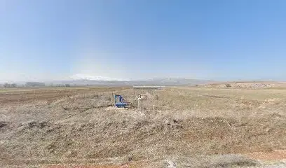 Manay sera