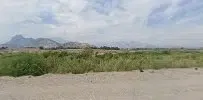 Manzara - Photo 5