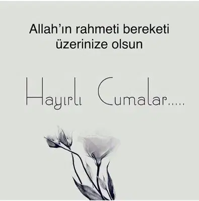 Mareşal Fevzi Çakmak Ortaokulu