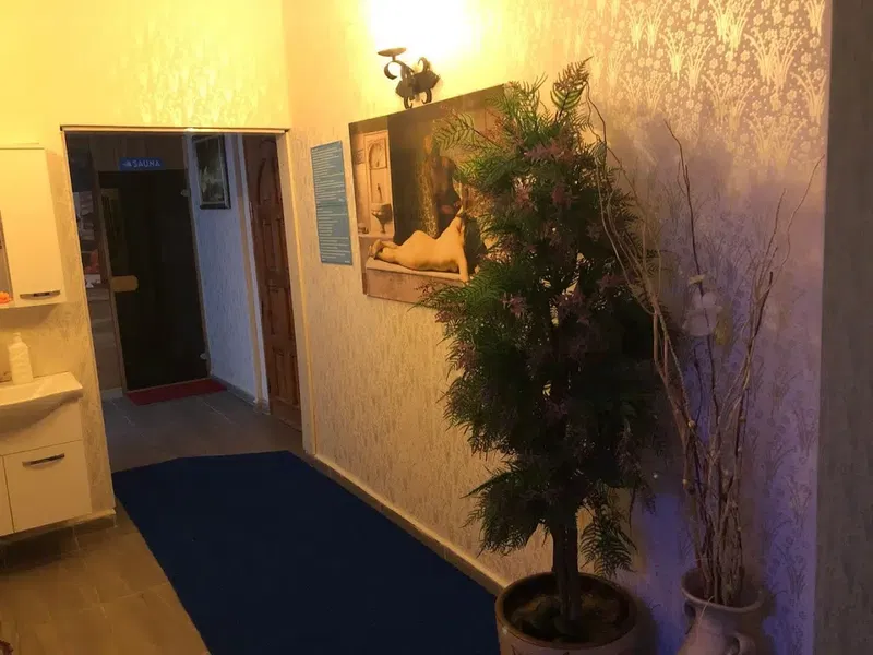 Mari̇a Hamam&Spa Center - Photo 8
