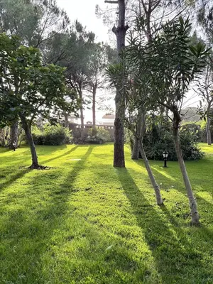 Marina Rest | Sabah - Akşam