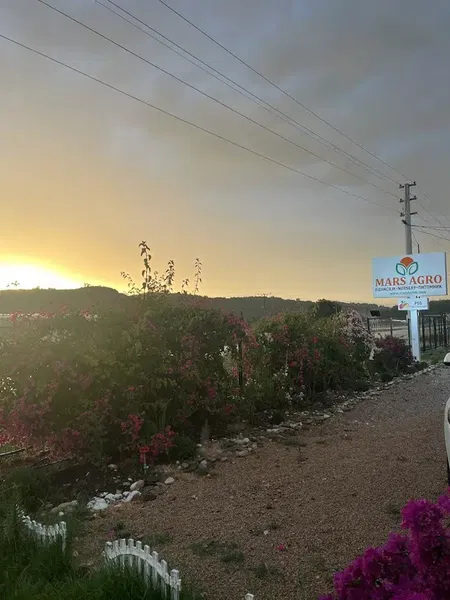 Mars agro - Photo 2