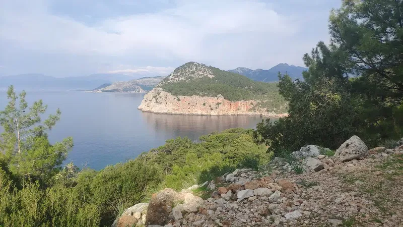 Mavikent Natural Forest - Photo 3
