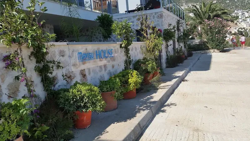 Mavisu House - Photo 1