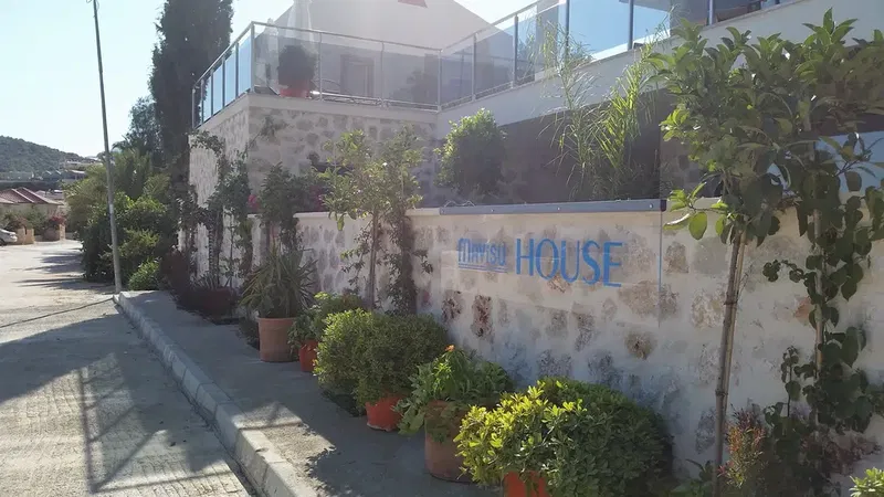 Mavisu House - Photo 6