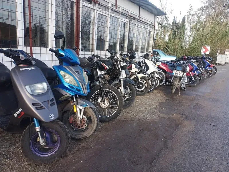Maviş performans - Photo 2