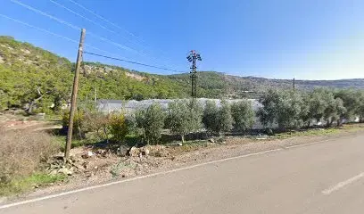 May apart bungalov