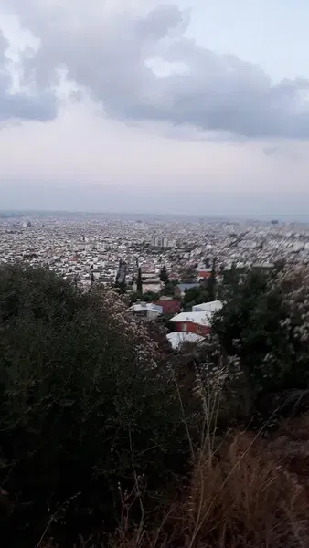 Mazıdağı Wedding Hall - Photo 9