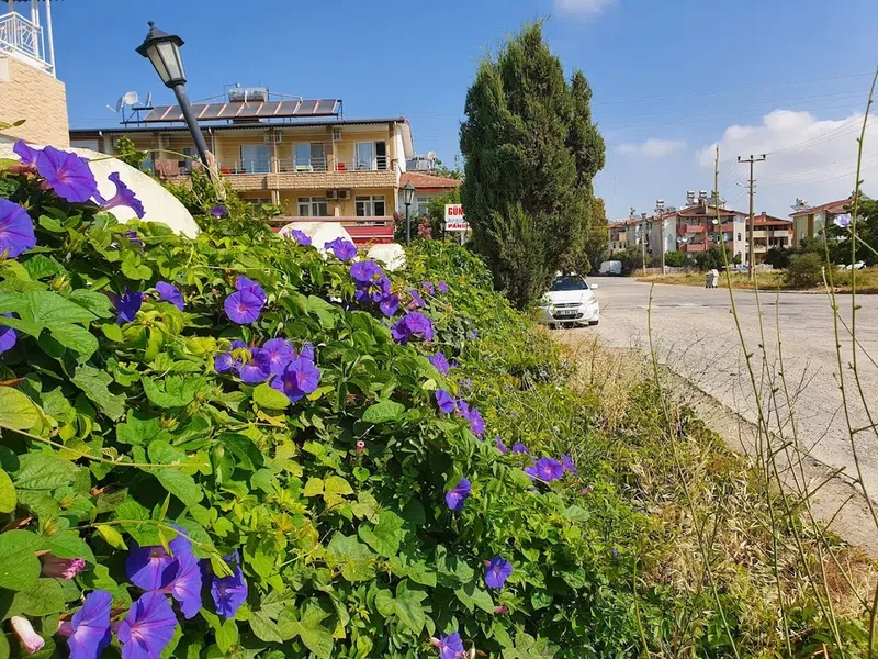 Mediterra Apart Otel - Photo 8