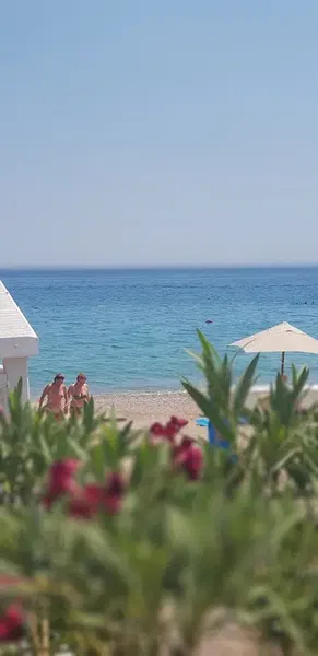 Mediterranean Snack Restaurant - Photo 6