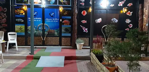 Mekân Malawi Petshop & Akvaryum