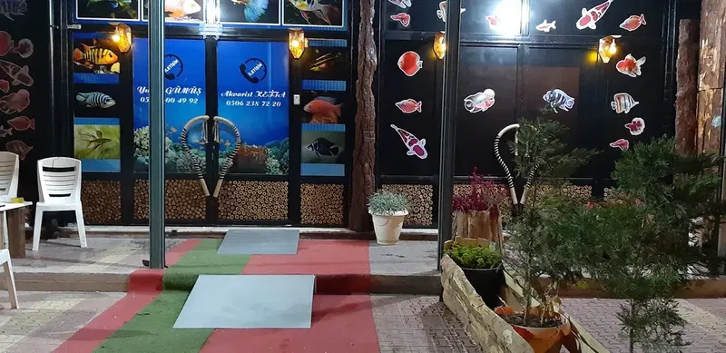 Mekân Malawi Petshop & Akvaryum - Photo 1