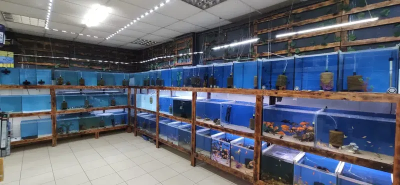 Mekân Malawi Petshop & Akvaryum - Photo 8