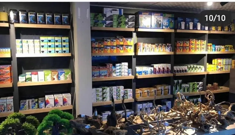 Mekân Malawi Petshop & Akvaryum - Photo 10