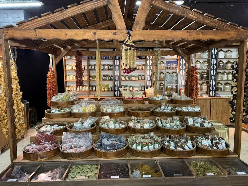 Meli̇na Baharat Aktar - Photo 4
