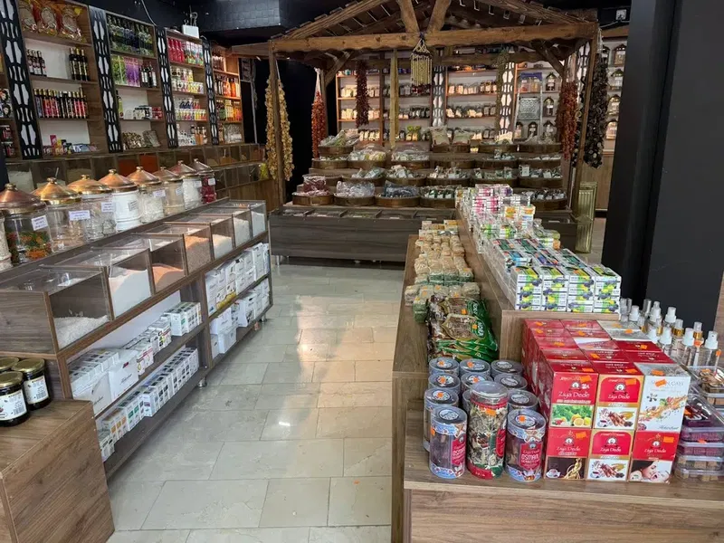 Meli̇na Baharat Aktar - Photo 9
