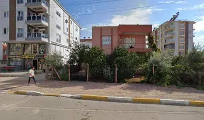 Meraklı Köpek Pet Shop