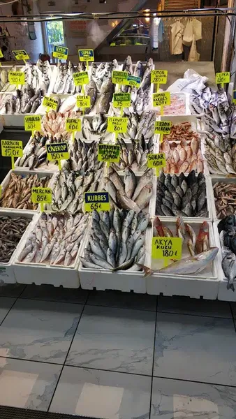 Mercan Balıkçılık - Photo 4