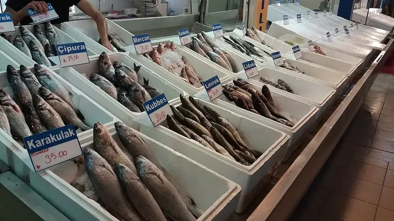 Mercan Balıkçılık - Photo 7