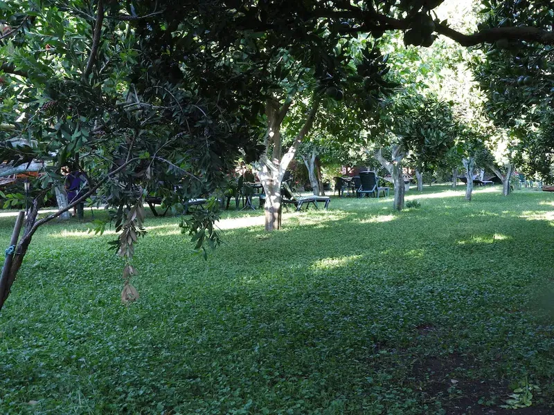 Mercan Bungalow - Photo 9