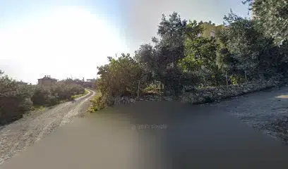 Merdo Çarşı Mağazası