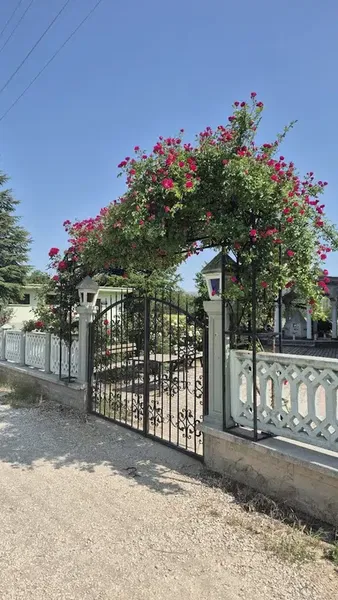 Merkez Yildiz Cami̇i̇ - Photo 5