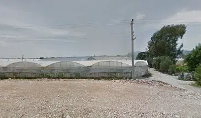 Mescid - Photo 1