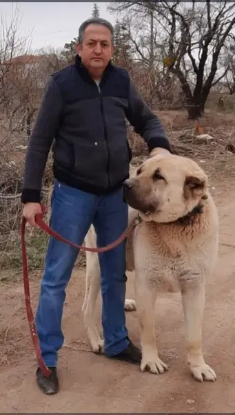 Mevlüt orhan - Photo 4
