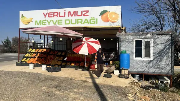 Meyve Duraği / Muzkoli̇k