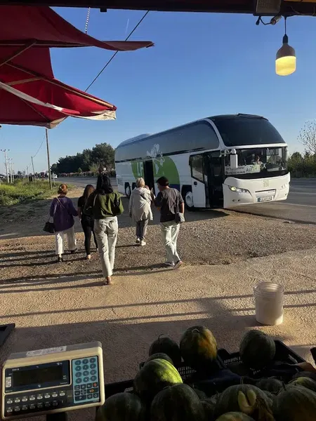 Meyve Duraği / Muzkoli̇k - Photo 3