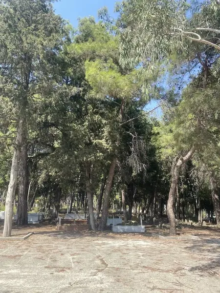 Mezarlık - Photo 4